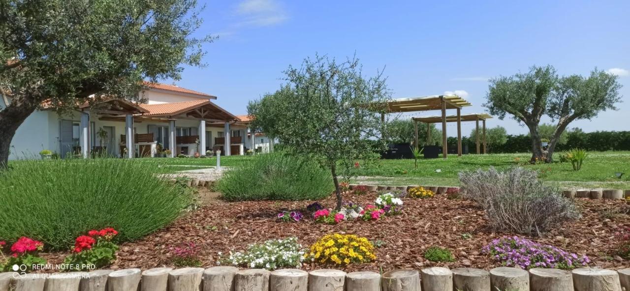 Residence La Pace - Pool & Relax Marina di Grosseto Exterior photo