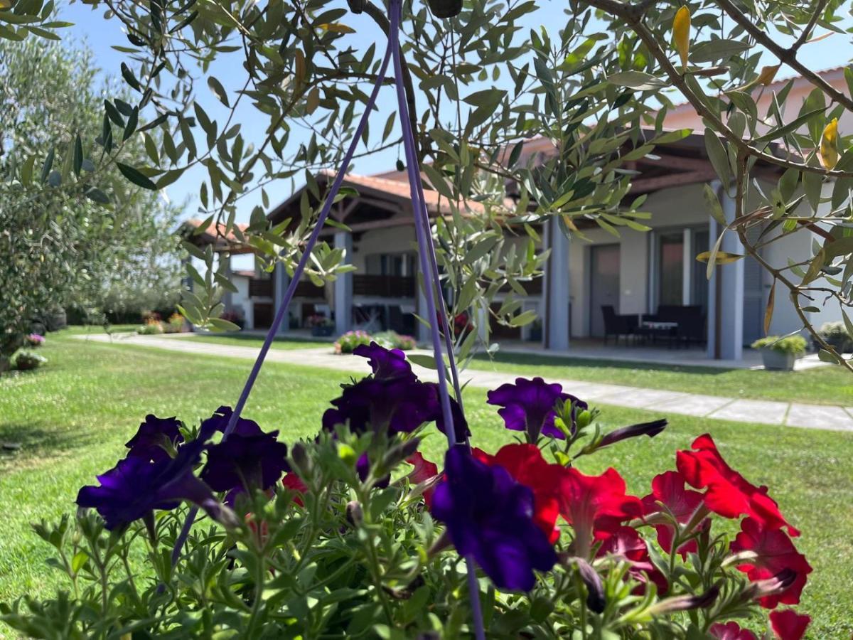 Residence La Pace - Pool & Relax Marina di Grosseto Exterior photo