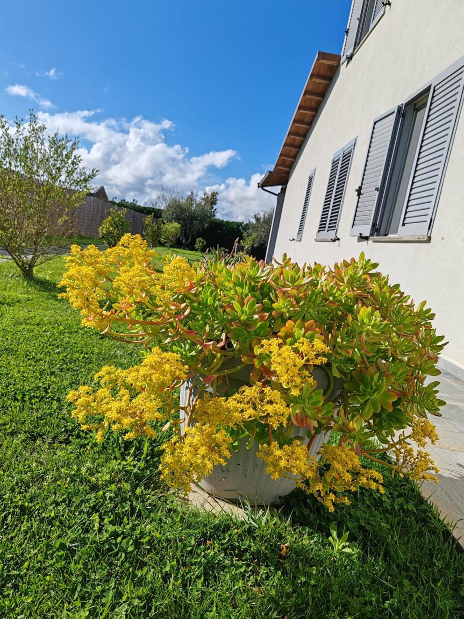 Residence La Pace - Pool & Relax Marina di Grosseto Exterior photo