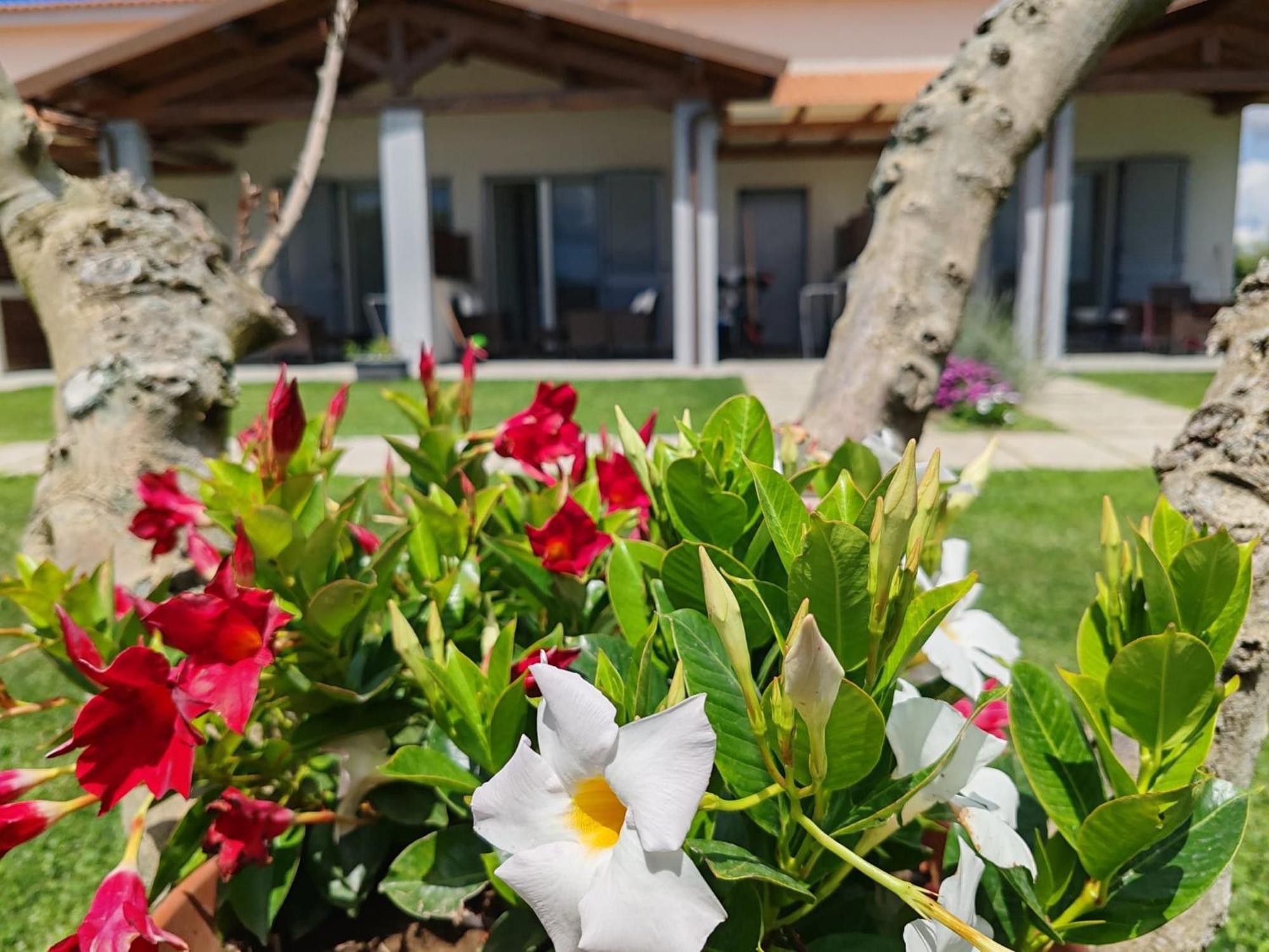 Residence La Pace - Pool & Relax Marina di Grosseto Exterior photo