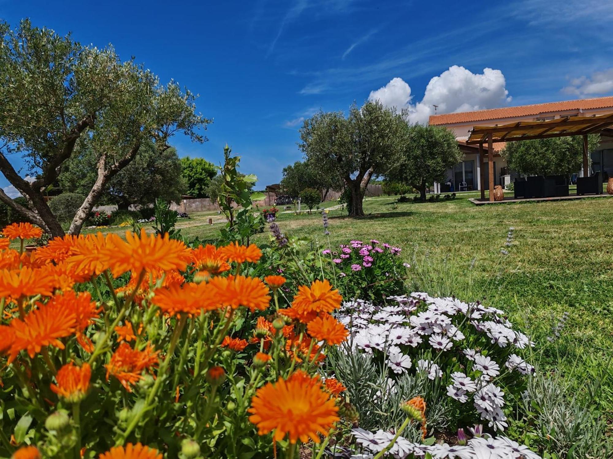 Residence La Pace - Pool & Relax Marina di Grosseto Exterior photo