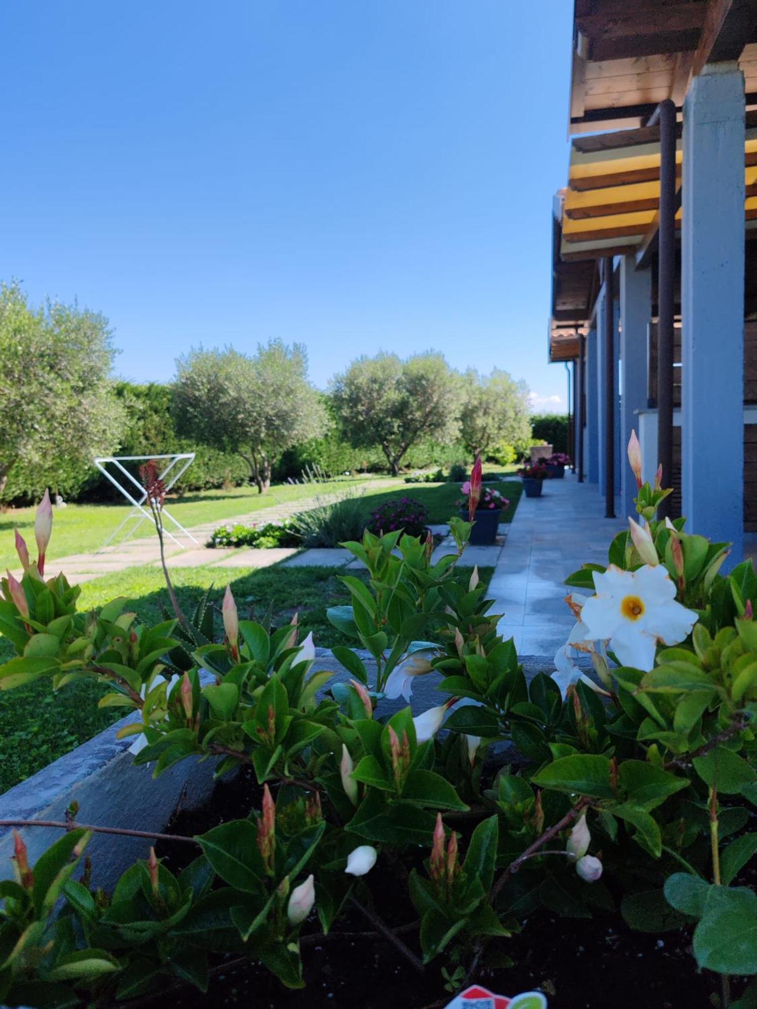 Residence La Pace - Pool & Relax Marina di Grosseto Exterior photo